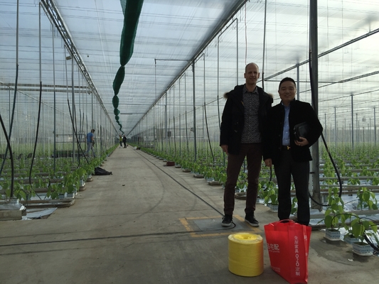 Tubeless Greenhouse Twine 5kg Roll Weight And High Reliability