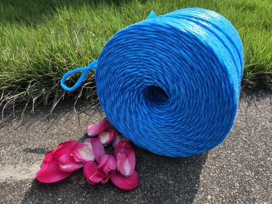 Blue Banana Rope Roll Weight 5kg Durable Strong Rope Ideal for Industrial Packaging and Heavy Duty Applications