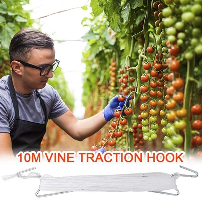 0.75-1.5g/M Twisted Virgin PP Raffia Tomato Tying Twine Vineyard UV Treated Fibrillated
