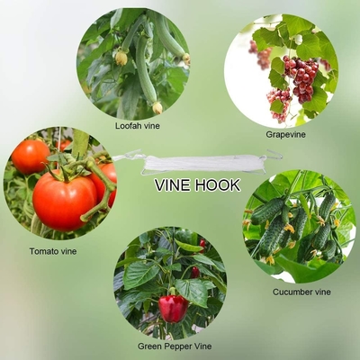 0.75-1.5g/M Twisted Virgin PP Raffia Tomato Tying Twine Vineyard UV Treated Fibrillated