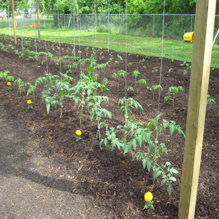 UV Resistant Polypropylene Tying Twine with High Tensile Strength (105KGF - 250KGF) and Customizable Length for Greenhouse and Agriculture