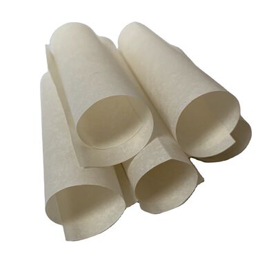 নিরোধক প্রতিরোধ ক্ষমতা ১.১২ গুণ ১০ পাওয়ার ১৪ ওহম, যা ৩০০ ডিগ্রি সেলসিয়াস পর্যন্ত তাপ প্রতিরোধ করতে সক্ষম মোটর নিরোধক কাগজ