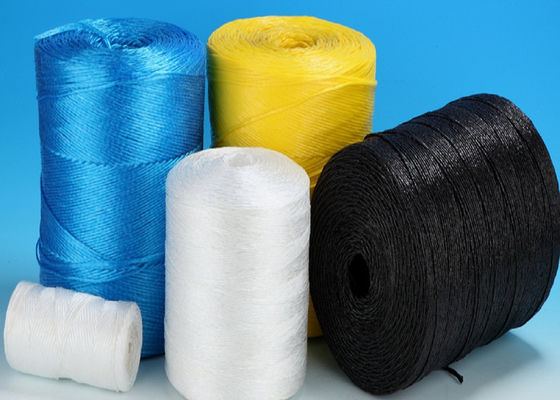 5kg/স্পুল 7500D 1200m/kg ভার্জিন পলিপ্রোপিলিন টমেটো বাঁধা সুতলি Rffia